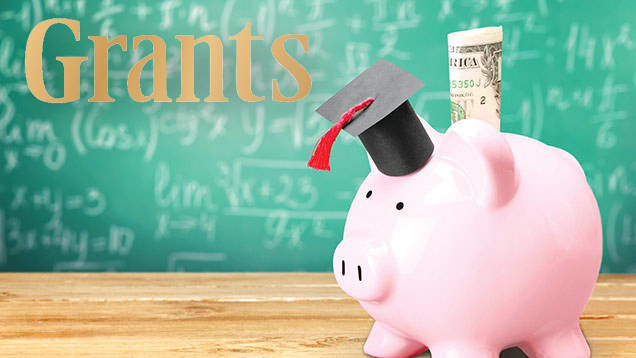 Grants and Non-Merit Scholarships