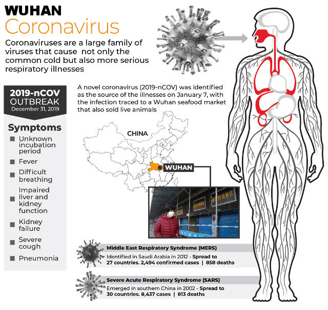 Wuhan Coronavirus Explained