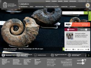 University and College Scholarships