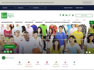 University and College Scholarships