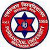 Purbanchal University Scholarships