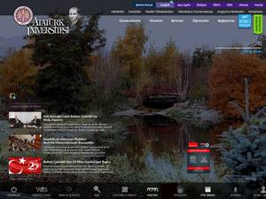 University and College Scholarships