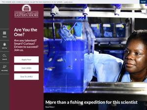 UMES HBCU Initiative Scholarship in United States