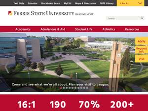 Ferris State University Gold International Scholarships in USA for Bachelor
