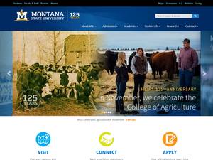 MSU International Undergraduate Merit-Based Scholarships in USA for Bachelor