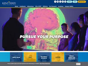 International Civic Engagement Scholarship at Kent State University in USA, 2020