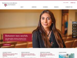 University and College Scholarships